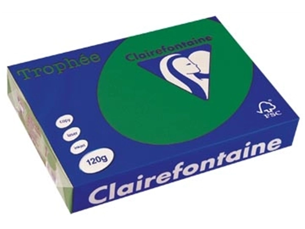 Een Clairefontaine Trophée Intens, gekleurd papier, A4, 120 g, 250 vel, dennengroen koop je bij best4office