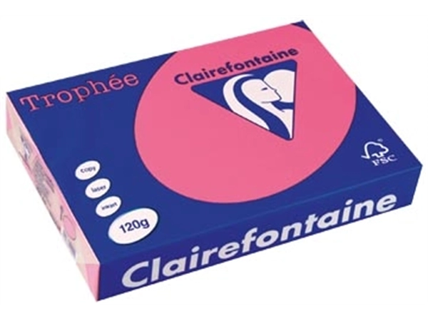 Een Clairefontaine Trophée Intens, gekleurd papier, A4, 120 g, 250 vel, fuchsia koop je bij best4office