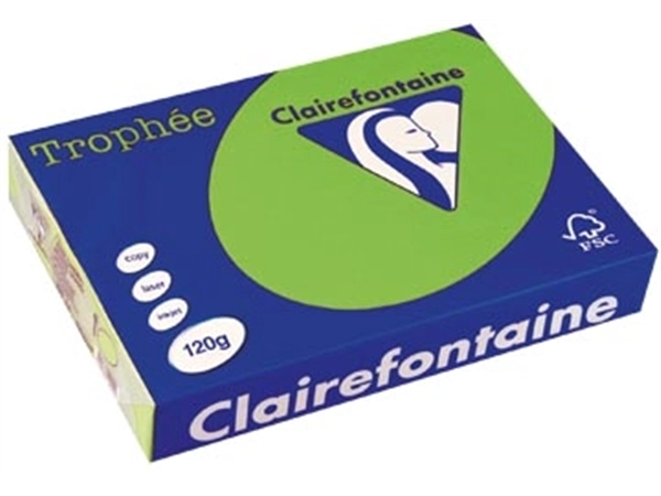 Een Clairefontaine Trophée Intens, gekleurd papier, A4, 120 g, 250 vel, grasgroen koop je bij best4office