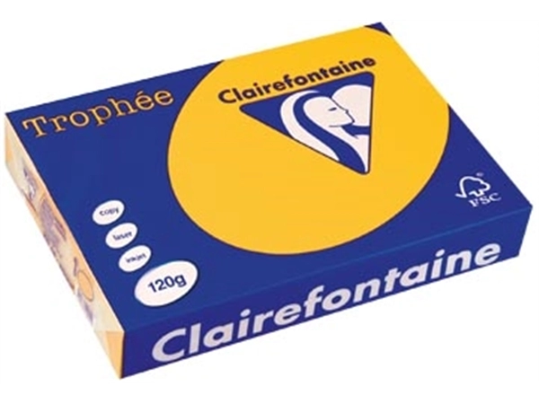 Een Clairefontaine Trophée Intens, gekleurd papier, A4, 120 g, 250 vel, zonnebloemgeel koop je bij best4office