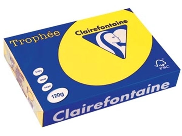 Een Clairefontaine Trophée Intens, gekleurd papier, A4, 120 g, 250 vel, zonnegeel koop je bij best4office