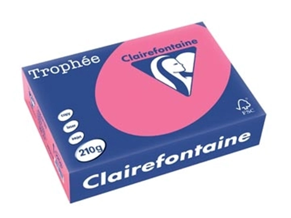 Een Clairefontaine Trophée Intens, gekleurd papier, A4, 210 g, 250 vel, fuchsia koop je bij best4office