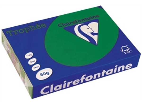 Een Clairefontaine Trophée Intens, gekleurd papier, A4, 80 g, 500 vel, dennegroen koop je bij Muys Kantoor & Kado