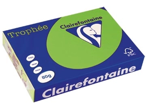 Een Clairefontaine Trophée Intens, gekleurd papier, A4, 80 g, 500 vel, muntgroen koop je bij best4office