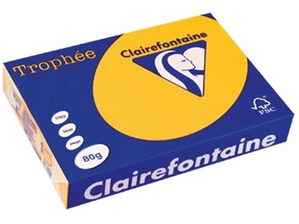 Een Clairefontaine Trophée Intens, gekleurd papier, A4, 80 g, 500 vel, zonnebloemgeel koop je bij best4office