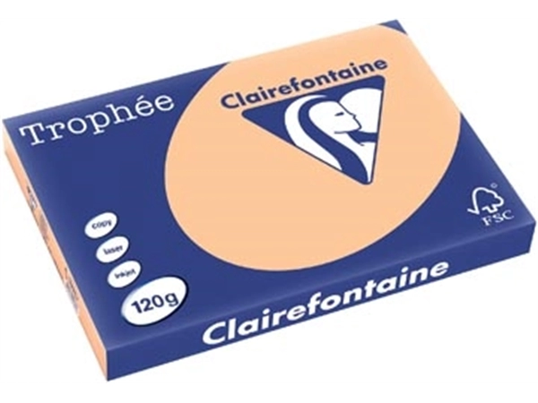 Een Clairefontaine Trophée Pastel, gekleurd papier, A3, 120 g, 250 vel, abrikoos koop je bij best4office