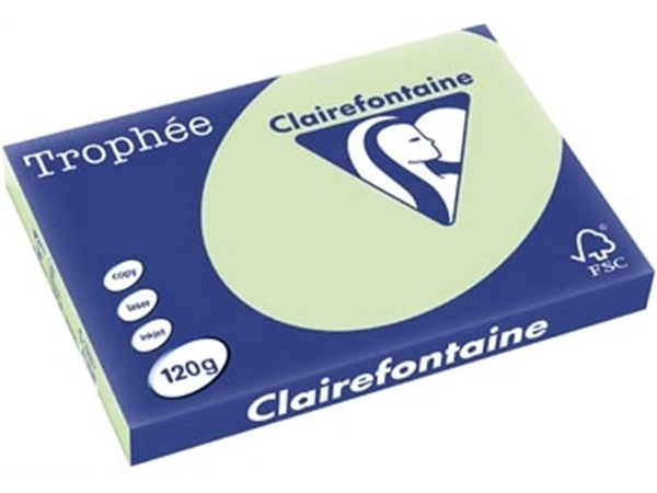 Een Clairefontaine Trophée Pastel, gekleurd papier, A3, 120 g, 250 vel, golfgroen koop je bij best4office