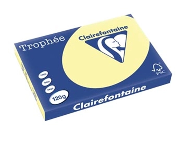 Een Clairefontaine Trophée Pastel, gekleurd papier, A3, 120 g, 250 vel, kanariegeel koop je bij best4office