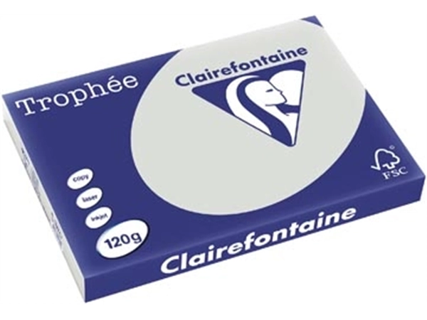 Een Clairefontaine Trophée Pastel, gekleurd papier, A3, 120 g, 250 vel, lichtgrijs koop je bij best4office