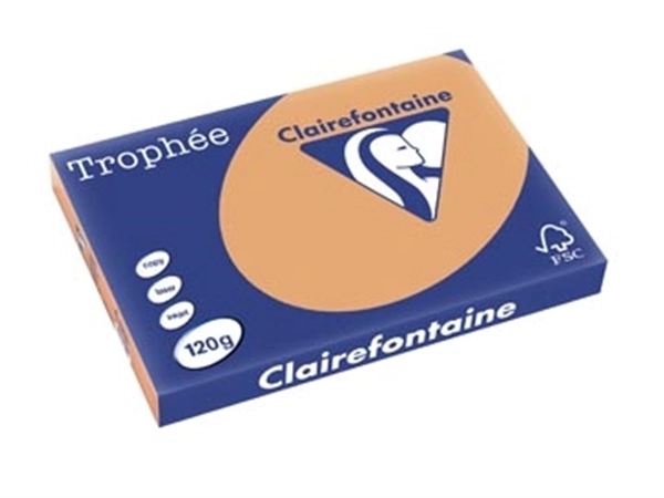 Een Clairefontaine Trophée Pastel, gekleurd papier, A3, 120 g, 250 vel, mokkabruin koop je bij best4office