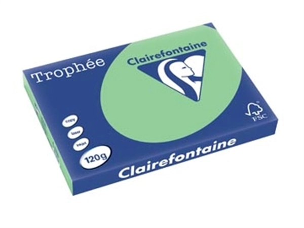 Een Clairefontaine Trophée Pastel, gekleurd papier, A3, 120 g, 250 vel, natuurgroen koop je bij best4office