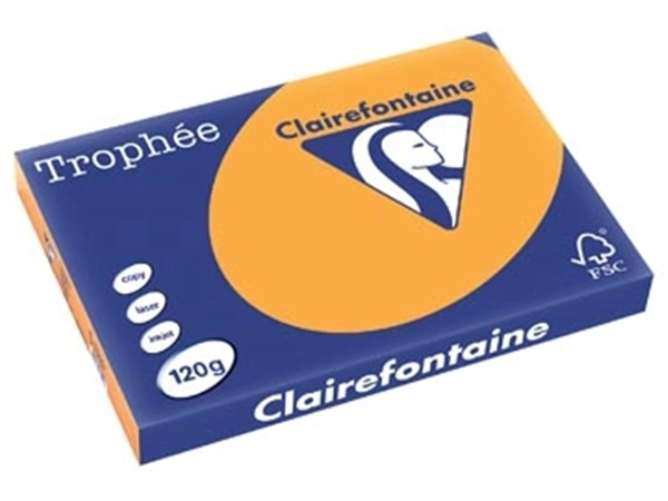 Een Clairefontaine Trophée Pastel, gekleurd papier, A3, 120 g, 250 vel, oranje koop je bij best4office