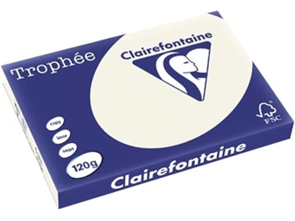 Een Clairefontaine Trophée Pastel, gekleurd papier, A3, 120 g, 250 vel, parelgrijs koop je bij best4office