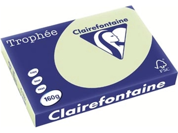 Een Clairefontaine Trophée Pastel, gekleurd papier, A3, 160 g, 250 vel, golfgroen koop je bij best4office