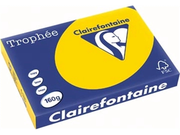 Een Clairefontaine Trophée Pastel, gekleurd papier, A3, 160 g, 250 vel, goudgeel koop je bij best4office