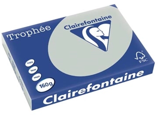 Een Clairefontaine Trophée Pastel, gekleurd papier, A3, 160 g, 250 vel, lichtgrijs koop je bij best4office