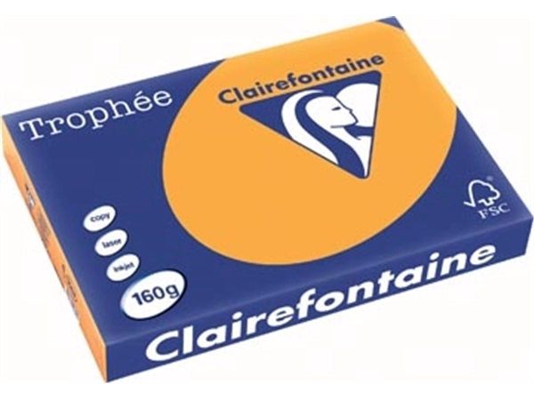 Een Clairefontaine Trophée Pastel, gekleurd papier, A3, 160 g, 250 vel, oranje koop je bij best4office