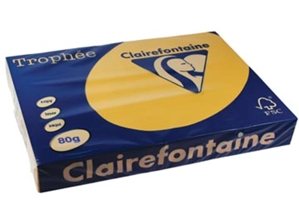 Een Clairefontaine Trophée Pastel, gekleurd papier, A3, 80 g, 500 vel, goudgeel koop je bij best4office