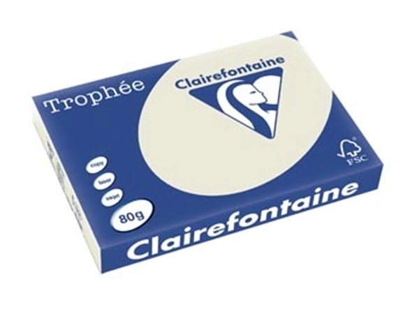 Een Clairefontaine Trophée Pastel, gekleurd papier, A3, 80 g, 500 vel, parelgrijs koop je bij best4office