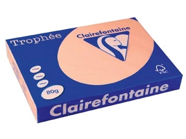 Een Clairefontaine Trophée Pastel, gekleurd papier, A3, 80 g, 500 vel, zalm koop je bij Muys Kantoor & Kado