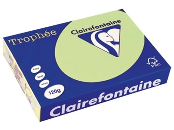 Een Clairefontaine Trophée Pastel, gekleurd papier, A4, 120 g, 250 vel, groen koop je bij best4office