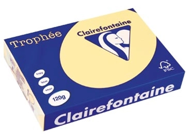 Een Clairefontaine Trophée Pastel, gekleurd papier, A4, 120 g, 250 vel, kanariegeel koop je bij best4office