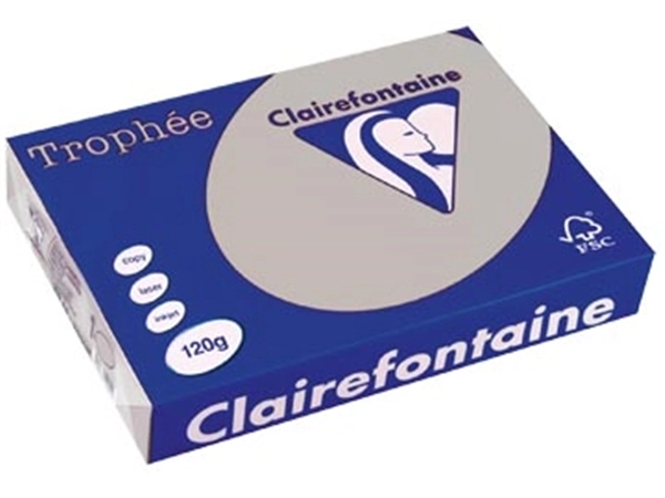 Een Clairefontaine Trophée Pastel, gekleurd papier, A4, 120 g, 250 vel, lichtgrijs koop je bij best4office