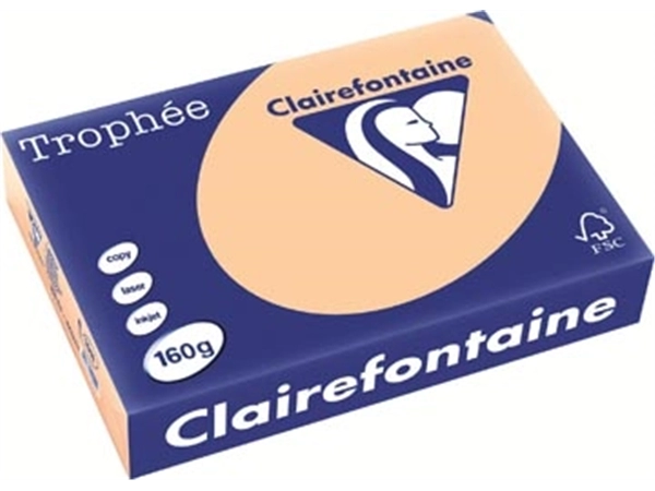 Een Clairefontaine Trophée Pastel, gekleurd papier, A4, 160 g, 250 vel, abrikoos koop je bij Muys Kantoor & Kado