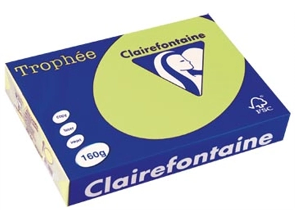 Een Clairefontaine Trophée Pastel, gekleurd papier, A4, 160 g, 250 vel, golfgroen koop je bij best4office