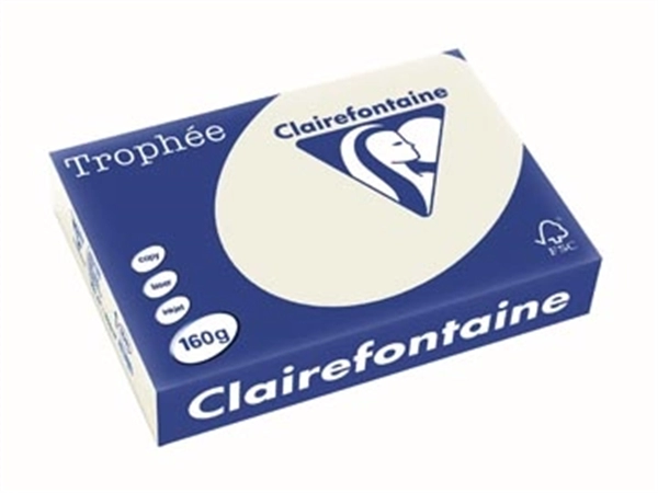 Een Clairefontaine Trophée Pastel, gekleurd papier, A4, 160 g, 250 vel, parelgrijs koop je bij Muys Kantoor & Kado