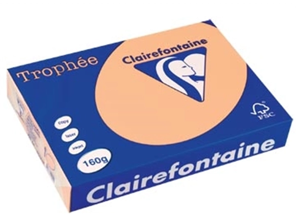 Een Clairefontaine Trophée Pastel, gekleurd papier, A4, 160 g, 250 vel, zalm koop je bij best4office