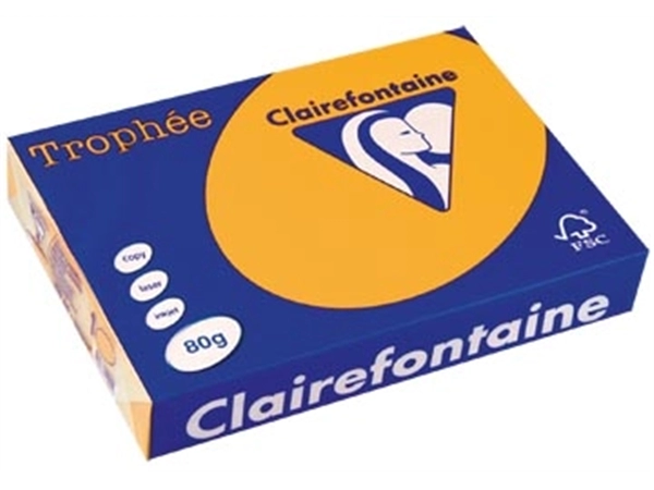 Een Clairefontaine Trophée Pastel, gekleurd papier, A4, 80 g, 500 vel, goudgeel koop je bij Muys Kantoor & Kado