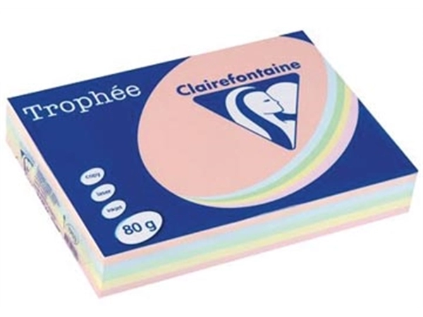 Een Clairefontaine Trophée gekleurd papier, A4, 80 g, 5 x 100 vel, geassorteerde kleuren koop je bij best4office