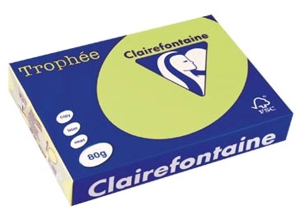 Een Clairefontaine Trophée gekleurd papier, A4, 80 g, 500 vel, golfgroen koop je bij best4office