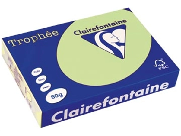 Een Clairefontaine Trophée gekleurd papier, A4, 80 g, 500 vel, groen koop je bij best4office