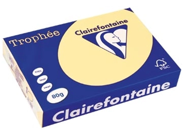 Een Clairefontaine Trophée gekleurd papier, A4, 80 g, 500 vel, kanariegeel koop je bij best4office