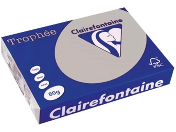 Een Clairefontaine Trophée gekleurd papier, A4, 80 g, 500 vel, lichtgrijs koop je bij best4office