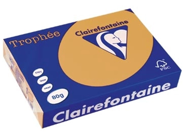 Een Clairefontaine Trophée gekleurd papier, A4, 80 g, 500 vel, mokkabruin koop je bij best4office