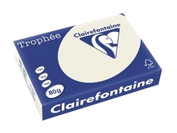 Een Clairefontaine Trophée gekleurd papier, A4, 80 g, 500 vel, parelgrijs koop je bij Muys Kantoor & Kado