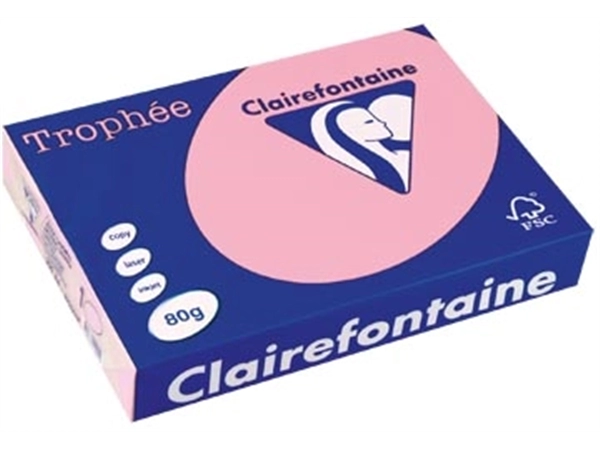 Een Clairefontaine Trophée gekleurd papier, A4, 80 g, 500 vel, roze koop je bij best4office