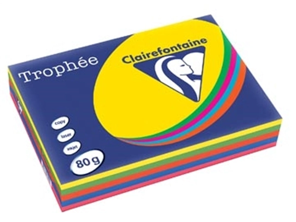 Een Clairefontaine Trophée intens A4, 80 g, 5 x 100 vel, geassorteerde kleuren koop je bij best4office