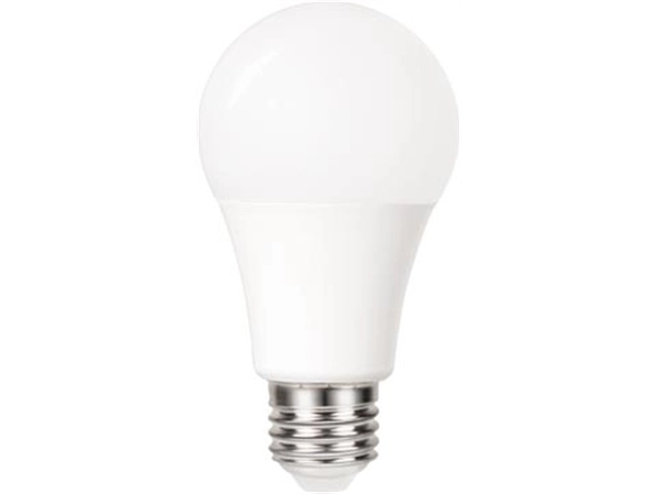 Een Integral Classic Globe LED lamp E27, dag/nacht sensor, niet dimbaar, 2.700 K, 4,8 W, 470 lumen koop je bij Muys Kantoor & Kado