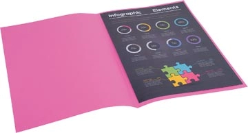 Een Exacompta Rock's 80 dossiermap, ft 22 x 31 cm, pak van 100, fuchsia koop je bij best4office