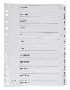 Een Pergamy tabbladen met indexblad, ft A4, 11-gaatsperforatie, januari-december koop je bij best4office