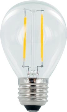 Een Integral Mini Globe LED lamp E27, niet dimbaar, 2.700 K, 2 W, 250 lumen koop je bij Muys Kantoor & Kado