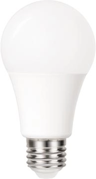 Een Integral Classic Globe LED lamp E27, dag/nacht sensor, niet dimbaar, 5.000 K, 4,8 W, 470 lumen koop je bij Muys Kantoor & Kado